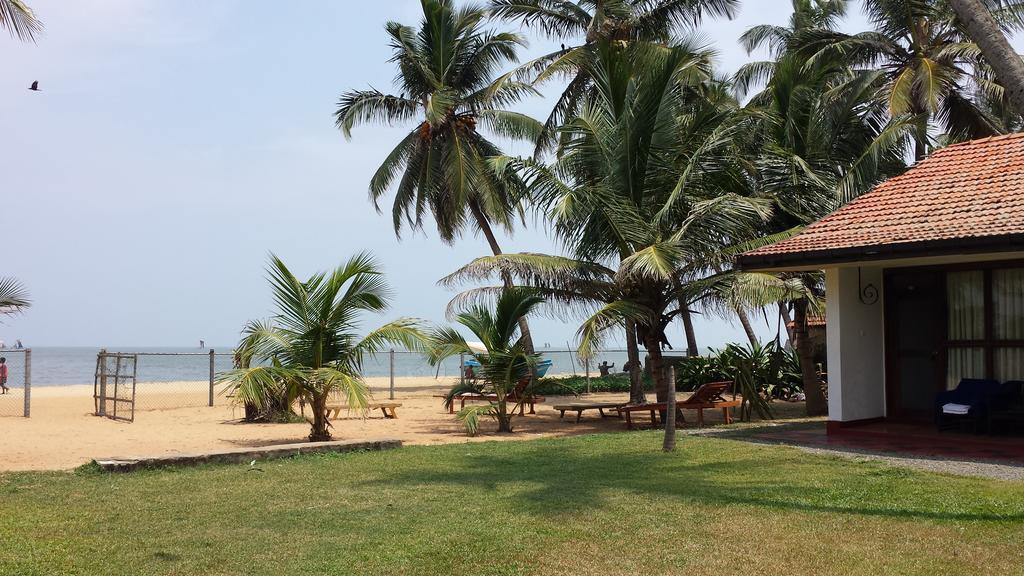 נגומבו Ceylonica Beach Hotel מראה חיצוני תמונה